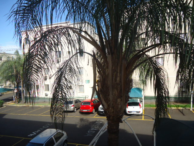 Apartamento – Rio Reno (Locação)