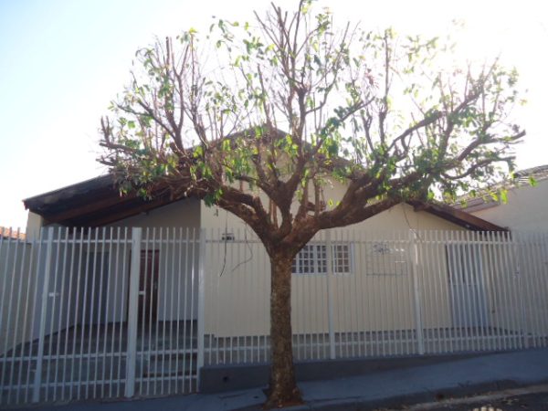 Casa – Vila Ideal (Locação)